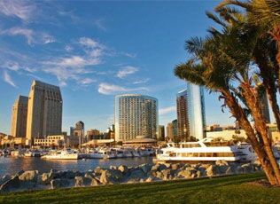 San Diego waterfront with boats, towers and palm trees