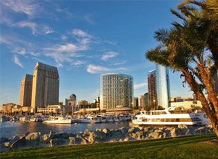 Boats and high-rise buildings along a palm-lined waterfront