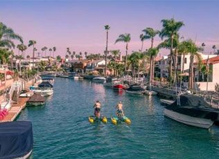 Boats in a palm-lined marina