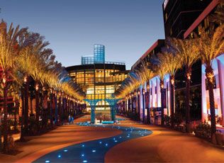 Palm-lined pedestrian plaza with illuminated storefronts